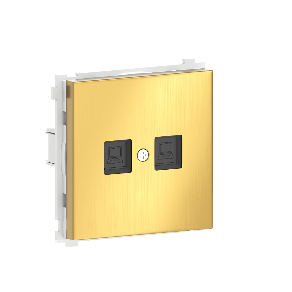 Розетка встраиваемая двойная Ethernet Donel R98 Metal RJ45 (cat.6/ClassE-8) Золото матовое DA16600-DA869BR